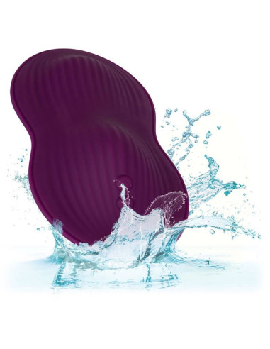 CALEXOTICS REMOTE CONTROL DUAL RIDER