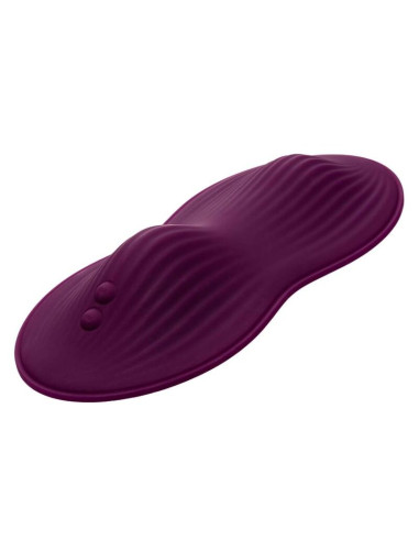 CALEXOTICS REMOTE CONTROL DUAL RIDER