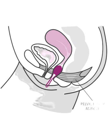 FUN FACTORY SMARTBALL UNO BOLA PELVICA BLANCO LILA PASTEL FUN FACTORY SMARTBALL UNO BOLA PELVICA BLANCO LILA PASTEL