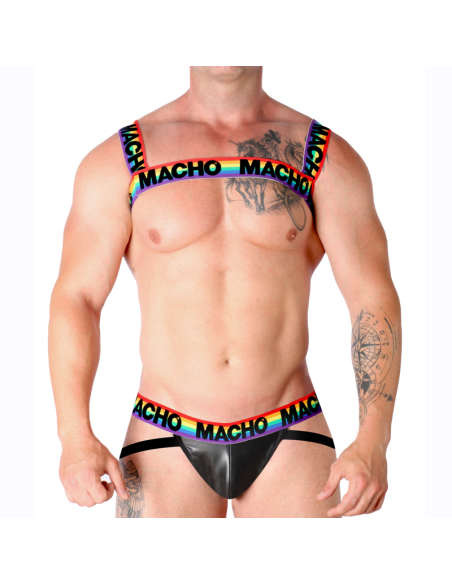 MACHO ARNES DOBLE PRIDE LIMITED MACHO ARNES DOBLE PRIDE LIMITED