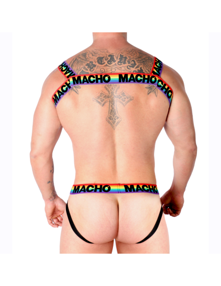 MACHO ARNES DOBLE PRIDE LIMITED MACHO ARNES DOBLE PRIDE LIMITED