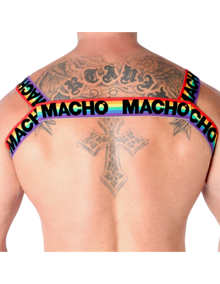 MACHO ARNES DOBLE PRIDE LIMITED MACHO ARNES DOBLE PRIDE LIMITED
