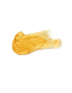 SECRETPLAY PRETTY BUT WILD ACEITE BRILLO CORPORAL MONODOSIS 2