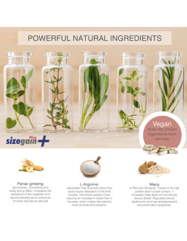 SizeGain Plus Complemento alimenticio para aumentar el tamano del pene y mejorar la potencia sexual