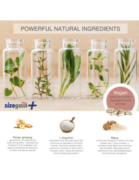 SizeGain Plus Complemento alimenticio para aumentar el tamano del pene y mejorar la potencia sexual SizeGain Plus Complemento alimenticio para aumentar el tamano del pene y mejorar la potencia sexual