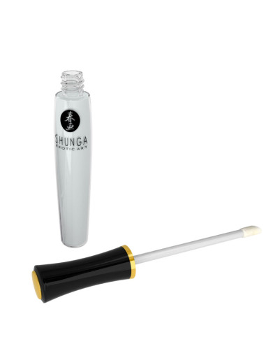 SHUNGA KIT COLECCION PLACERES CARNALES