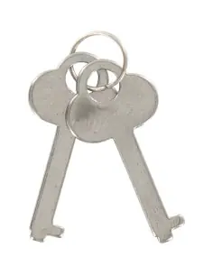 TOYJOY ESPOSAS DEL AMOR LILA 2