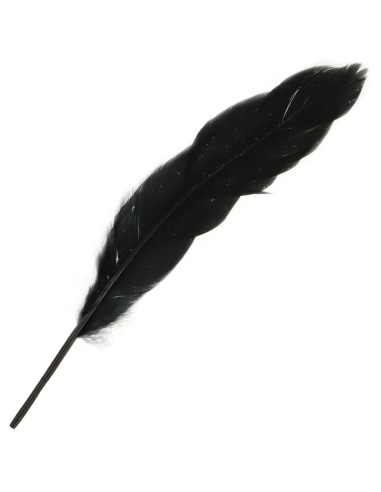 OHMAMA SET PARA PAREJAS NUMERO 3