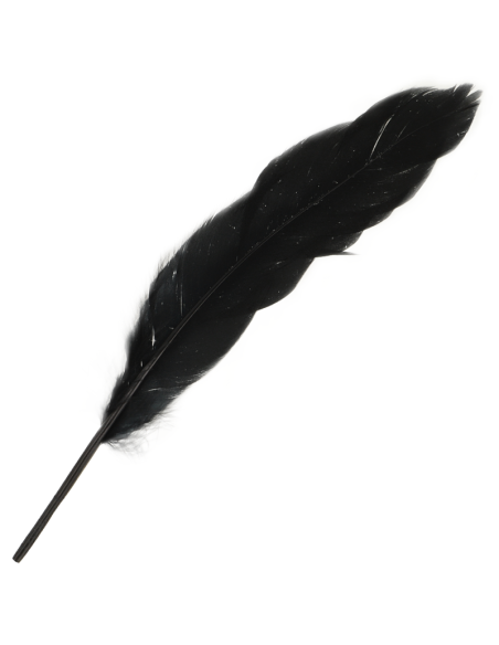 OHMAMA SET PARA PAREJAS NUMERO 3 OHMAMA SET PARA PAREJAS NUMERO 3