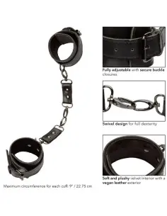 CALEXOTICS EUPHORIA ESPOSAS