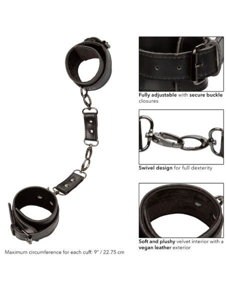 CALEXOTICS EUPHORIA ESPOSAS CALEXOTICS EUPHORIA ESPOSAS