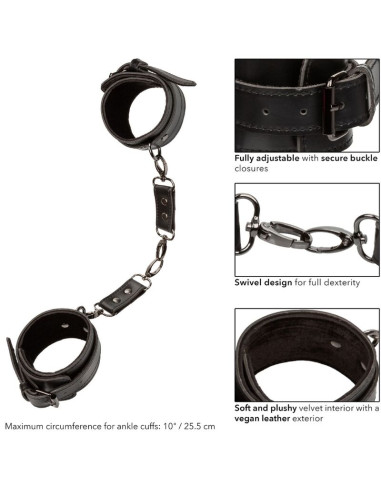 CALEXOTICS EUPHORIA ESPOSAS PARA TOBILLOS