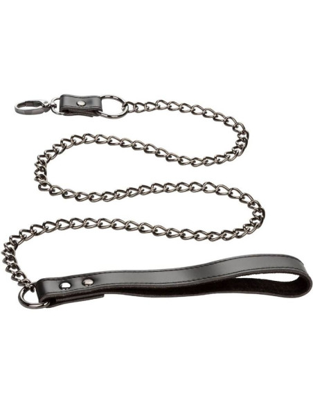 CALEXOTICS EUPHORIA COLLAR CON CORREA DE CADENA CALEXOTICS EUPHORIA COLLAR CON CORREA DE CADENA