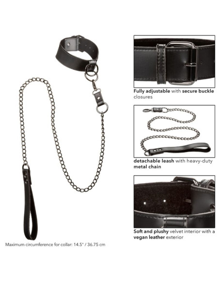 CALEXOTICS EUPHORIA COLLAR CON CORREA DE CADENA CALEXOTICS EUPHORIA COLLAR CON CORREA DE CADENA