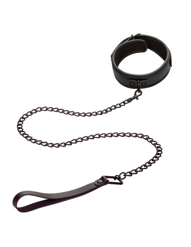 CALEXOTICS NOCTURNAL COLLAR Y CORREA CUERO AJUSTABLE NEGRO