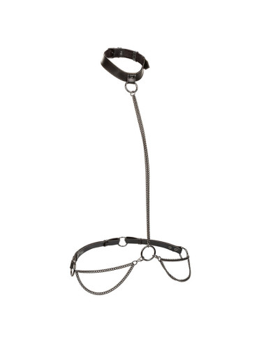 CALEXOTICS EUPHORIA COLLAR HALTER Y CORREA CON CADENA