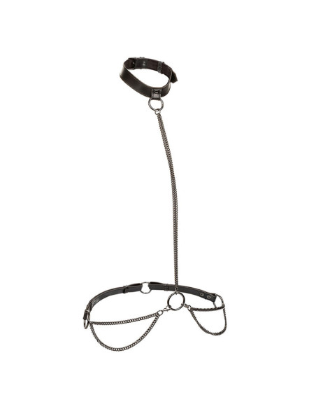 CALEXOTICS EUPHORIA COLLAR HALTER Y CORREA CON CADENA CALEXOTICS EUPHORIA COLLAR HALTER Y CORREA CON CADENA