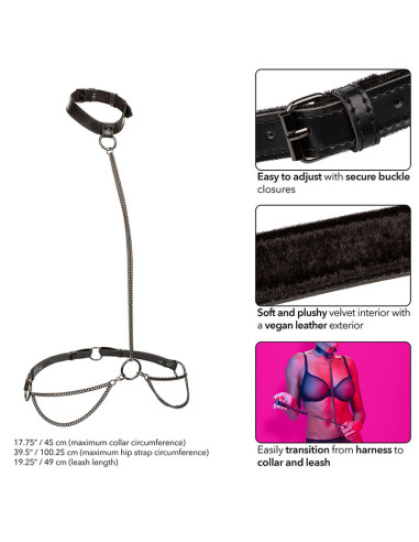 CALEXOTICS EUPHORIA COLLAR HALTER Y CORREA CON CADENA