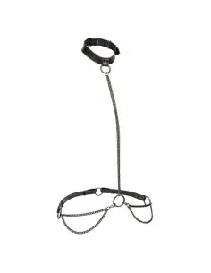 CALEXOTICS EUPHORIA COLLAR HALTER Y CORREA CON CADENA TALLA PLUS