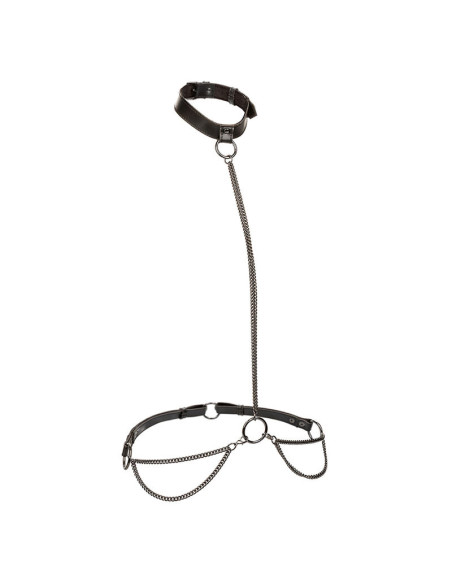 CALEXOTICS EUPHORIA COLLAR HALTER Y CORREA CON CADENA TALLA PLUS CALEXOTICS EUPHORIA COLLAR HALTER Y CORREA CON CADENA TALLA PLUS