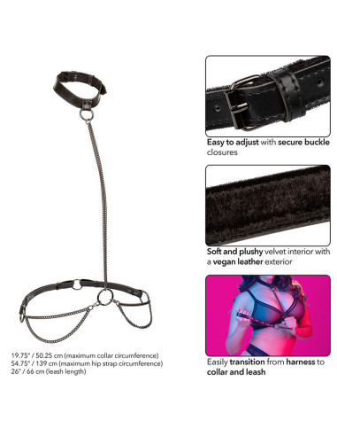 CALEXOTICS EUPHORIA COLLAR HALTER Y CORREA CON CADENA TALLA PLUS