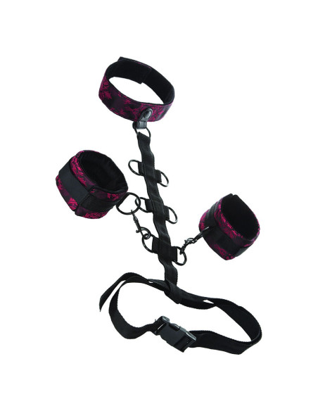 CALEXOTICS SCANDAL SUJECION COMPORAL CON CUELLO CALEXOTICS SCANDAL SUJECION COMPORAL CON CUELLO