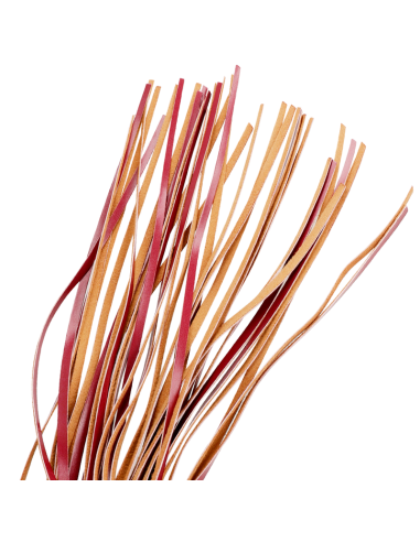 FETISH SUBMISSIVE DARK ROOM LATIGO CUERO VEGANO