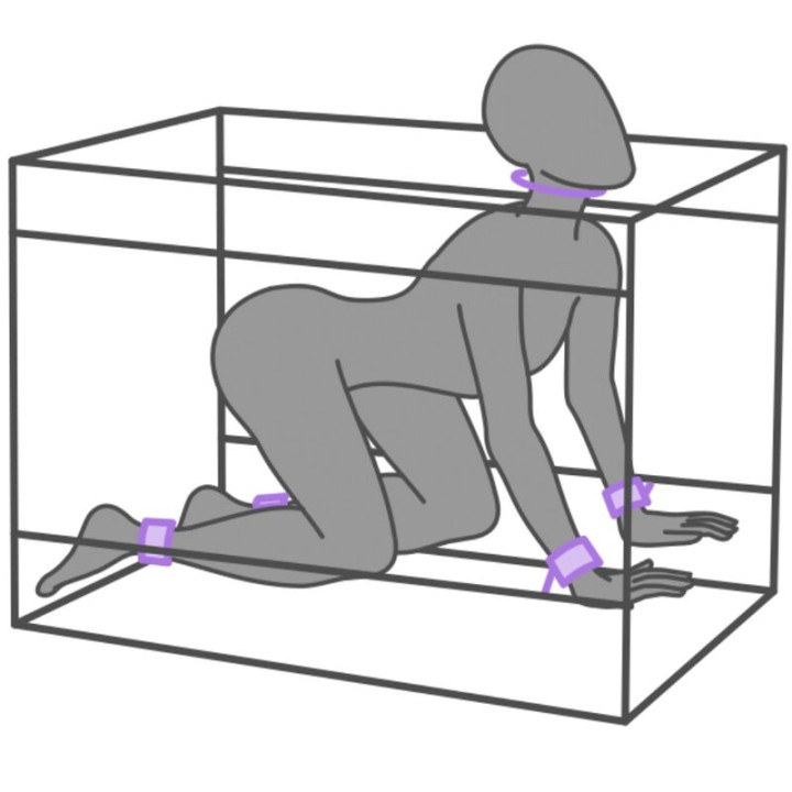 SECRET DOME KINK CLUB LA NICHE CABINA MORADO