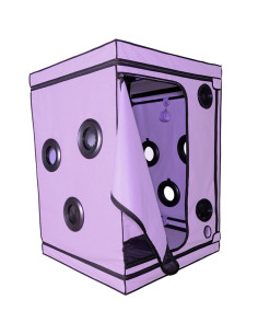 SECRET DOME KINK CLUB CABINA SCANDALE MORADO 2