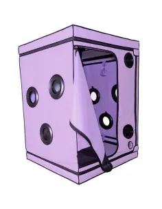 SECRET DOME KINK CLUB CABINA SCANDALE MORADO 2