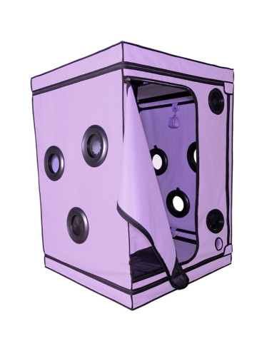 SECRET DOME KINK CLUB CABINA SCANDALE MORADO