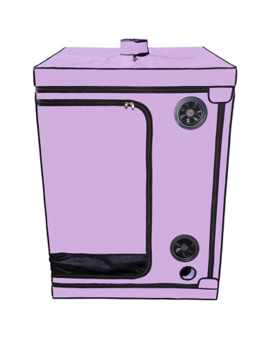 SECRET DOME KINK CLUB CABINA SCANDALE MORADO