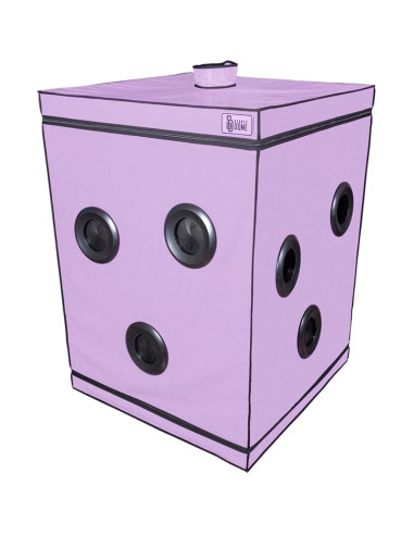 SECRET DOME KINK CLUB CABINA SCANDALE MORADO