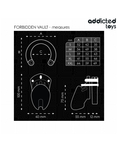 ADDICTED TOYS LOCKED FORBIDDEN VAULT JAULA PARA PENE 10 CM