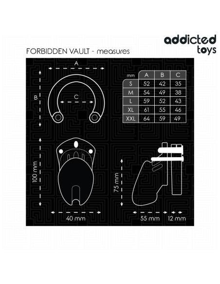 ADDICTED TOYS LOCKED FORBIDDEN VAULT JAULA PARA PENE 10 CM ADDICTED TOYS LOCKED FORBIDDEN VAULT JAULA PARA PENE 10 CM