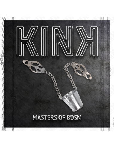 KINK PINZAS PARA PEZONES CON CUBO PLATEADO