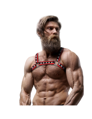 FETISH SUBMISSIVE ATTITUDE ARNES BULLDOG ECOPIEL PECHO HOMBRE NEGRO ROJO