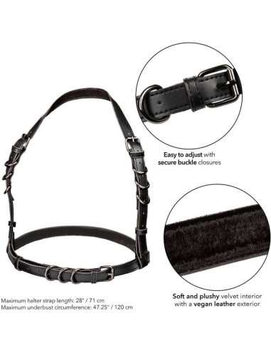 CALEXOTICS EUPHORIA ARNES HATLER CON HEBILLA TALLA GRANDE NEGRO