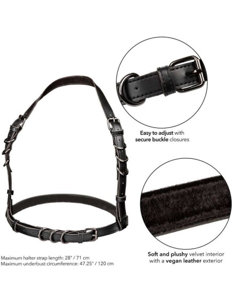 CALEXOTICS EUPHORIA ARNES HATLER CON HEBILLA TALLA GRANDE NEGRO CALEXOTICS EUPHORIA ARNES HATLER CON HEBILLA TALLA GRANDE NEGRO