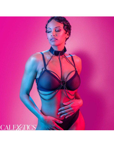 CALEXOTICS EUPHORIA ARNES DE CUELLO DE CADENA