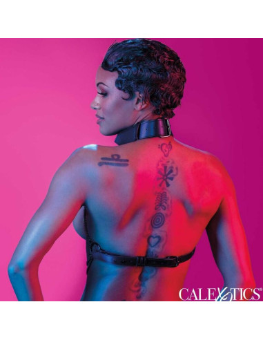 CALEXOTICS EUPHORIA ARNES DE CUELLO DE CADENA