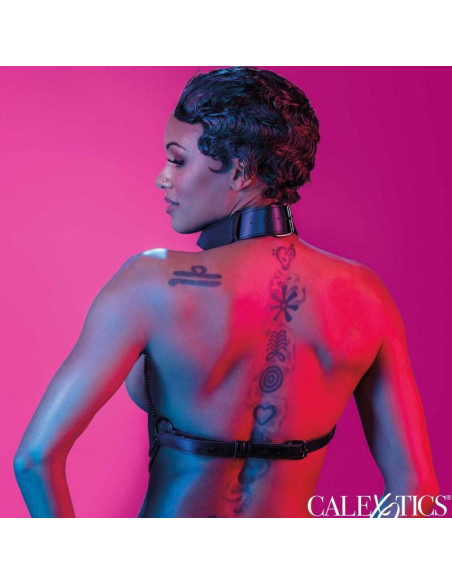 CALEXOTICS EUPHORIA ARNES DE CUELLO DE CADENA CALEXOTICS EUPHORIA ARNES DE CUELLO DE CADENA