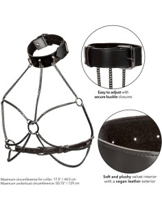 CALEXOTICS EUPHORIA ARNES DE CUELLO DE CADENA TALLA GRANDE