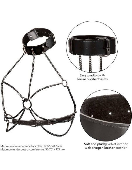 CALEXOTICS EUPHORIA ARNES DE CUELLO DE CADENA TALLA GRANDE CALEXOTICS EUPHORIA ARNES DE CUELLO DE CADENA TALLA GRANDE