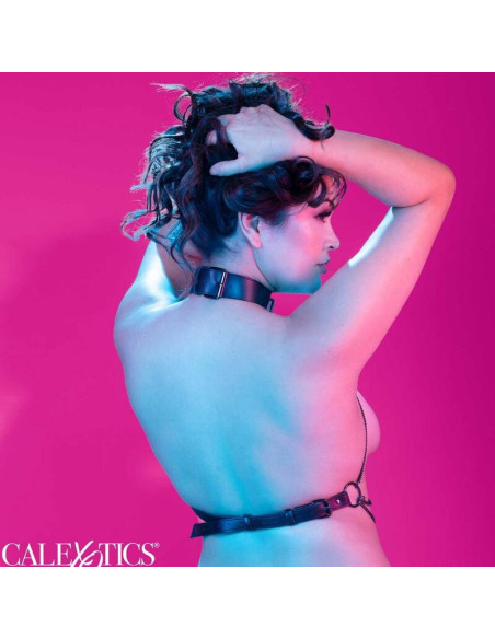 CALEXOTICS EUPHORIA ARNES DE CUELLO DE CADENA TALLA GRANDE CALEXOTICS EUPHORIA ARNES DE CUELLO DE CADENA TALLA GRANDE