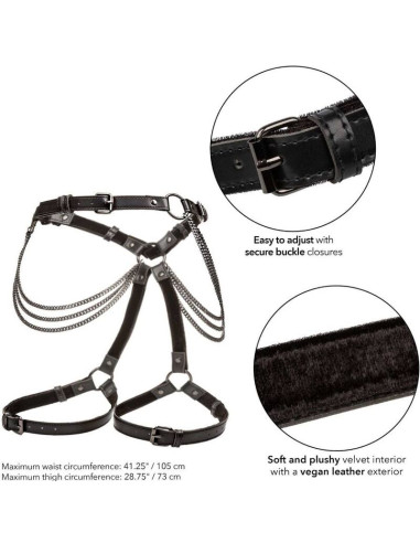 CALEXOTICS EUPHORIA ARNES DE MUSLO CADENA