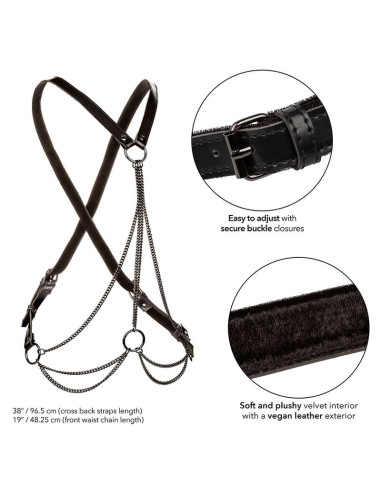 CALEXOTICS EUPHORIA ARNES DE MULTIPLES CADENAS PREMIUM TALLA PLUS