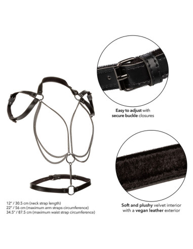 CALEXOTICS EUPHORIA ARNES ESTILO CABESTRO CON MULTIPLES CADENAS PREMIUM