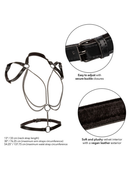 CALEXOTICS EUPHORIA ARNES ESTILO CABESTRO CON MULTIPLES CADENAS PREMIUM TALLA PLUS