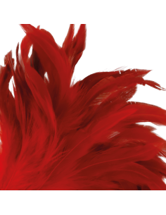 DARKNESS PLUMA ESTIMULADORA ROJO 24CM 2